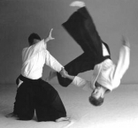 fotos-de-aikido-3