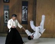 fotos-de-aikido-5