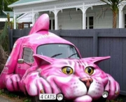 Carro Gato
