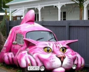 Carro Gato