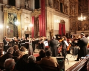 fotos-de-concertos-14