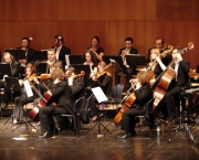 fotos-de-concertos-6