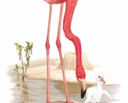 Flamingo Desenho