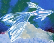 Peixe Transparente