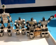 fotos-de-robos-10