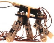 fotos-de-robos-12