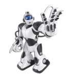 fotos-de-robos-13