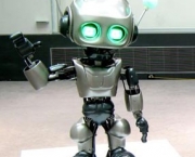 fotos-de-robos-4