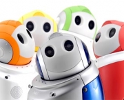 fotos-de-robos-5