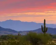 Deserto Arizona