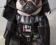 Cachorro Darth Vader