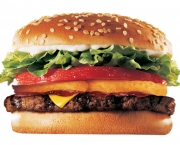 Franquia Burger King (2)
