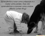 frases-bonitas-12