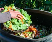 Frases de Desperdício de Alimentos (1)