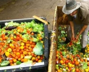 Frases de Desperdício de Alimentos (4)