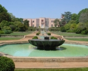 fundacao-serralves-27