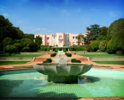 fundacao-serralves-30