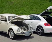 fusca-03
