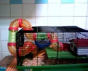 Gaiolas para Hamster 07