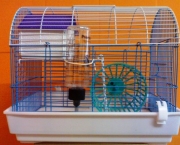 Gaiolas para Hamster 15
