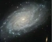 galaxia-de-andromeda-2