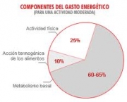 gasto-energetico-2