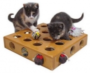 Um-brinquedo-especial-para-os-gatos.jpg