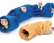 tunel-para-gatos.jpg