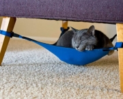 Rede-de-gatos-bem-legaus-1.jpg