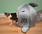 caminha-gatos.jpg