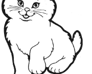 gatos-para-colorir-11