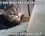 gato-escritor.jpg