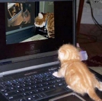 gato-hacker.jpg
