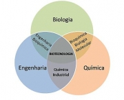 genetica-biologia-12