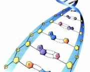 genetica-biologia-4