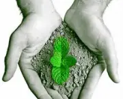 gestao-ambiental-e-sustentabilidade-2