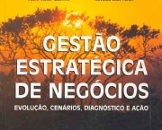 gestao-estrategica-de-negocios-27