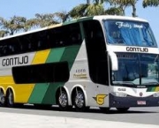gontijo-1