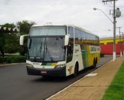 gontijo-15