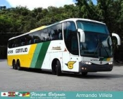 gontijo-3
