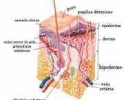 grossura-do-pelos-humanos-2