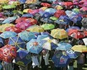 Foto Guarda-Chuva 10