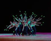 Gymnaestrada no Brasil (1)