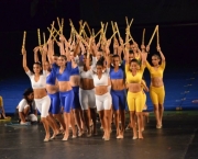 Gymnaestrada no Brasil (3)