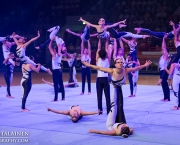 Stadio Italiano (Chile), FIG Gala, World Gymnaestrada 2015, Helsinki, Finland