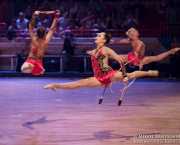 FIG Gala, World Gymnaestrada 2015, Helsinki, Finland