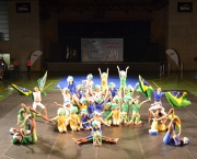 Gymnaestrada no Brasil (15)