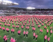 Gymnaestrada no Brasil (17)