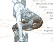halteres-para-musculacao-8