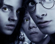 harry-potter-e-a-ordem-da-fenix-harry-potter-e-o-enigma-do-principe-harry-potter-e-as-reliquias-da-morte-parte-i-e-harry-potter-e-as-reliquias-da-morte-parte-ii-5